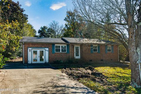 Photo of 233 Normandy Drive, Wilmington, NC 28412 (MLS # 100545243)