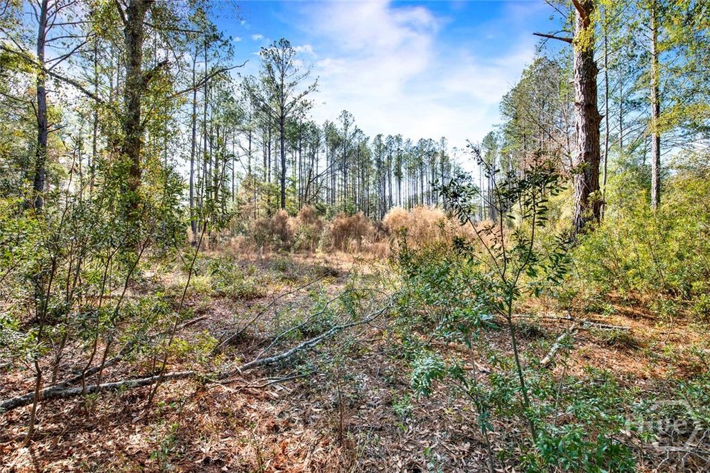 Photo of 112 Dixie Drive, Springfield, GA 31329 (MLS # SA346206)