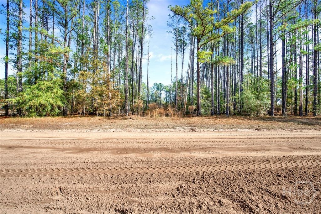 Photo of 112 Dixie Drive, Springfield, GA 31329 (MLS # SA346206)