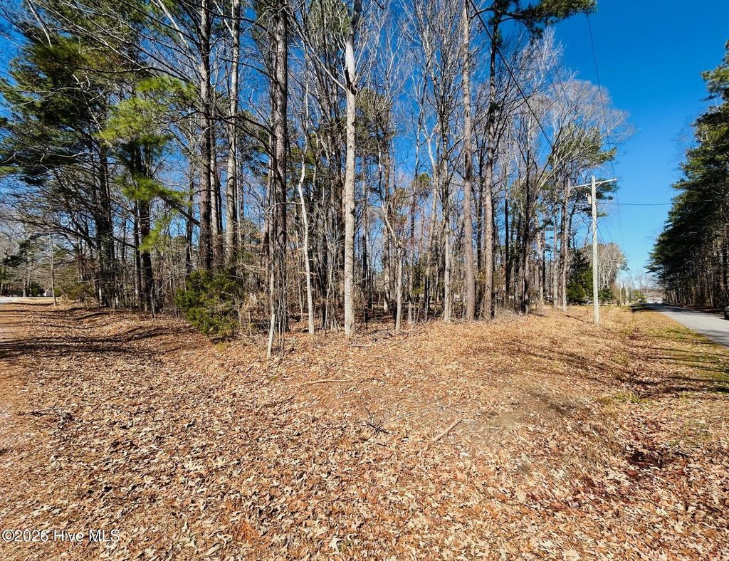 Photo of 2930 Comanche Trail, Hertford, NC 27944 (MLS # 100556377)
