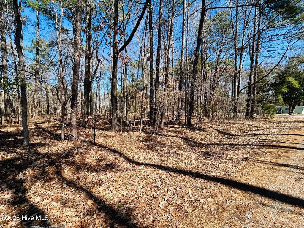Photo of 2930 Comanche Trail, Hertford, NC 27944 (MLS # 100556377)