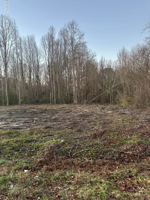 Vacant Land For Sale - 2978 Stoney Hill Church Road<br/> Bailey, NC 27807