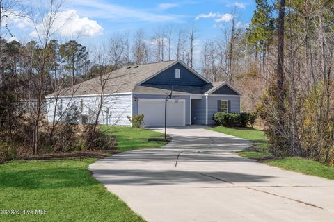 Tiny photo for 141 Fresh Air Drive, Hampstead, NC 28443 (MLS # 100553994)