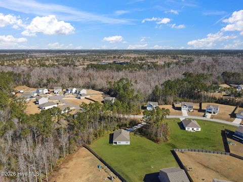 Tiny photo for 141 Fresh Air Drive, Hampstead, NC 28443 (MLS # 100553994)