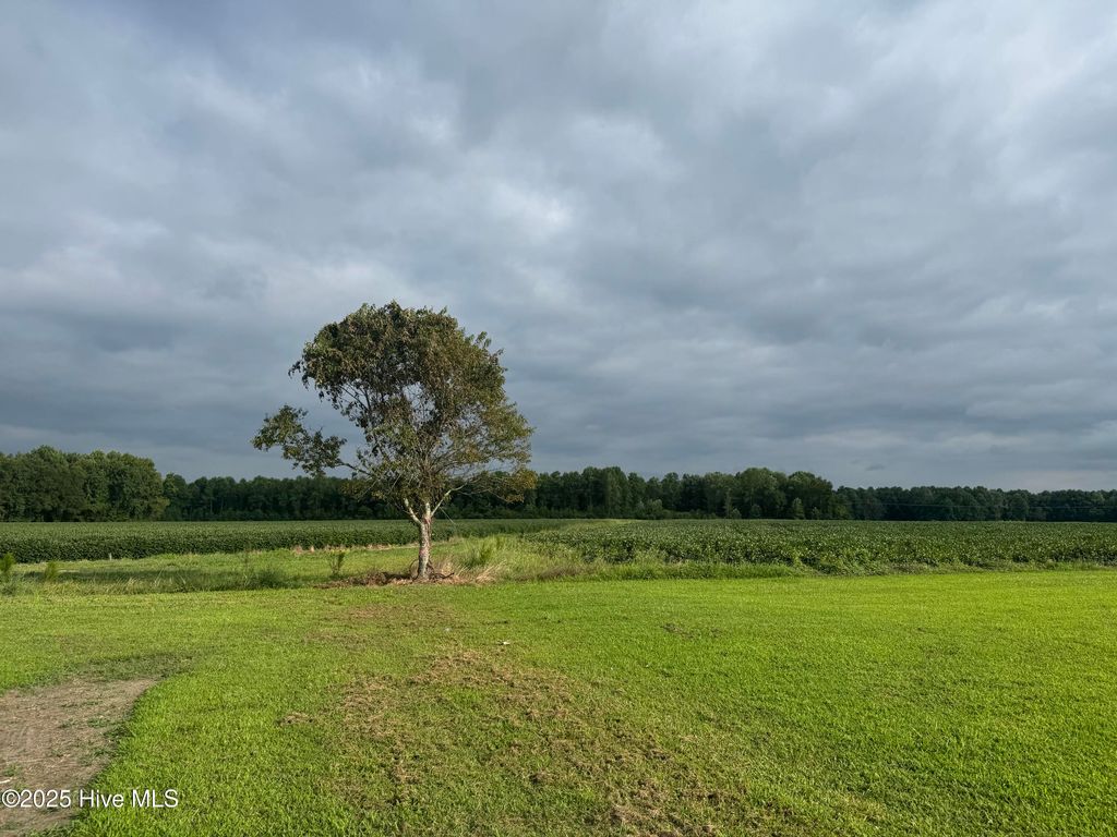 Photo of 704 Wade Road, Scotland Neck, NC 27874 (MLS # 100548363)