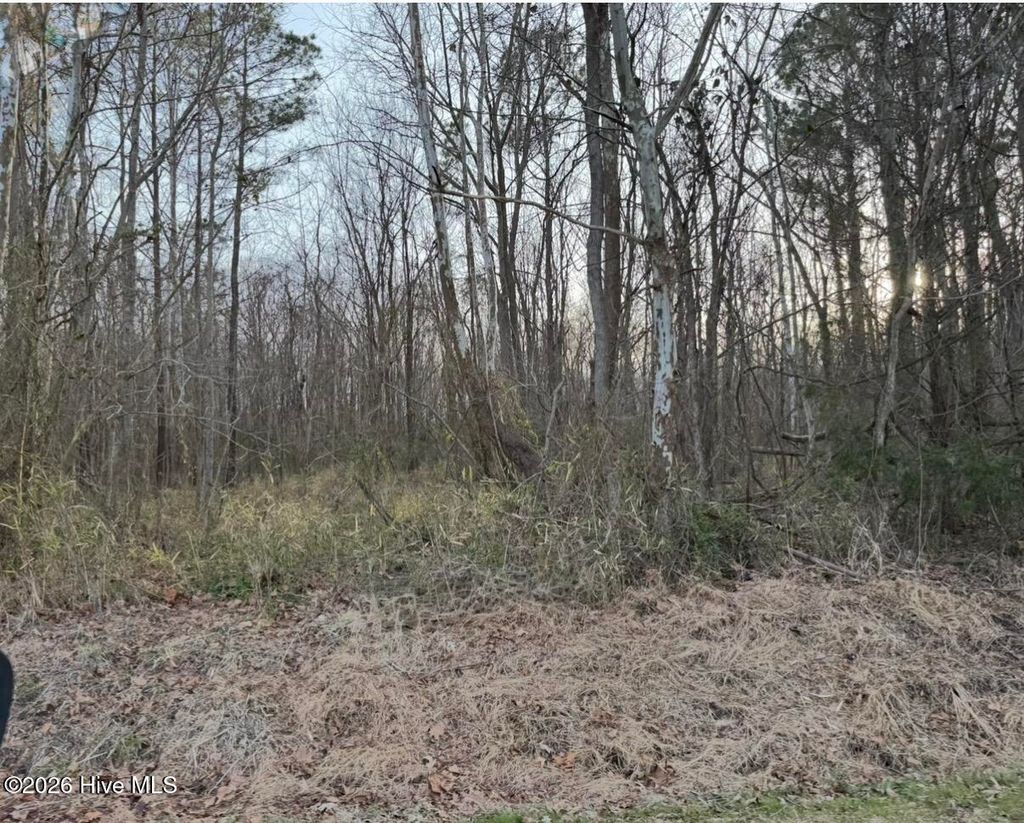 Photo of 14 Beasley Road, Roper, NC 27970 (MLS # 100555637)