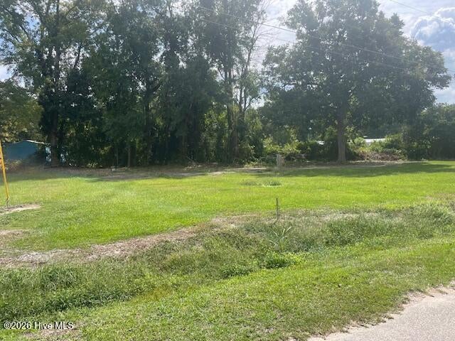 Photo of 201 Midway Drive, Bladenboro, NC 28320 (MLS # 100605414)