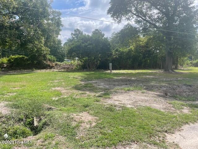 Photo of 201 Midway Drive, Bladenboro, NC 28320 (MLS # 100605414)