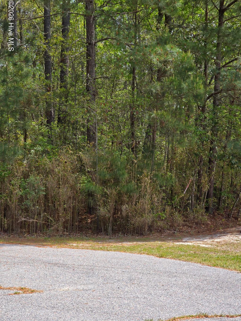 Photo of 110 Kernel Court, Grandy, NC 27939 (MLS # 100566768)