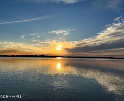 Tiny photo for 105 Mistiflower Court, Wilmington, NC 28412 (MLS # 100564831)