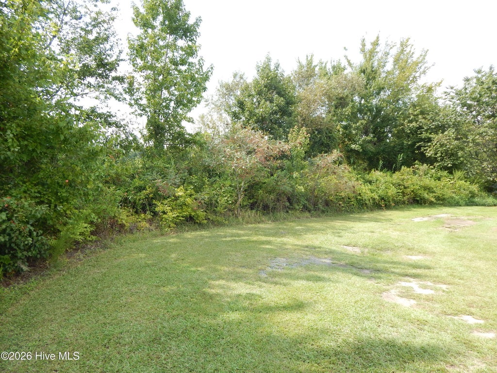 Photo of 909 Gum Swamp Church Road, Greenville, NC 27834 (MLS # 100600797)