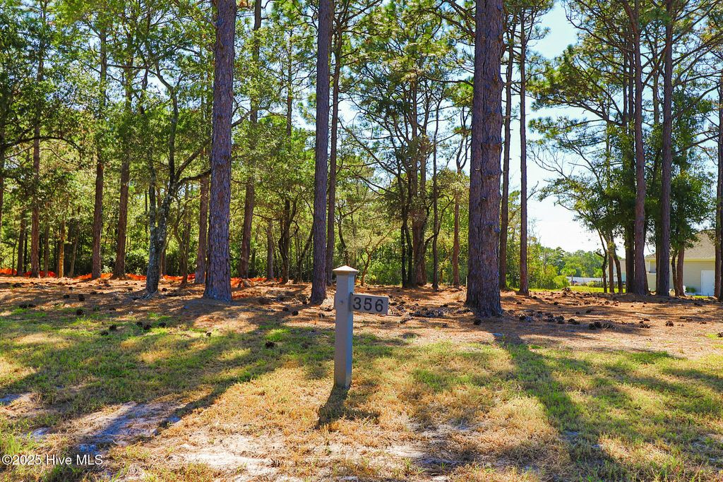 Photo of 402 Summer Duck Drive, Beaufort, NC 28516 (MLS # 100536263)