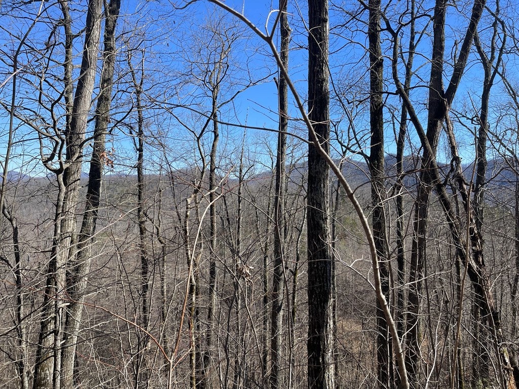 Lot 68j 68J Grandview Drive - Photo 2