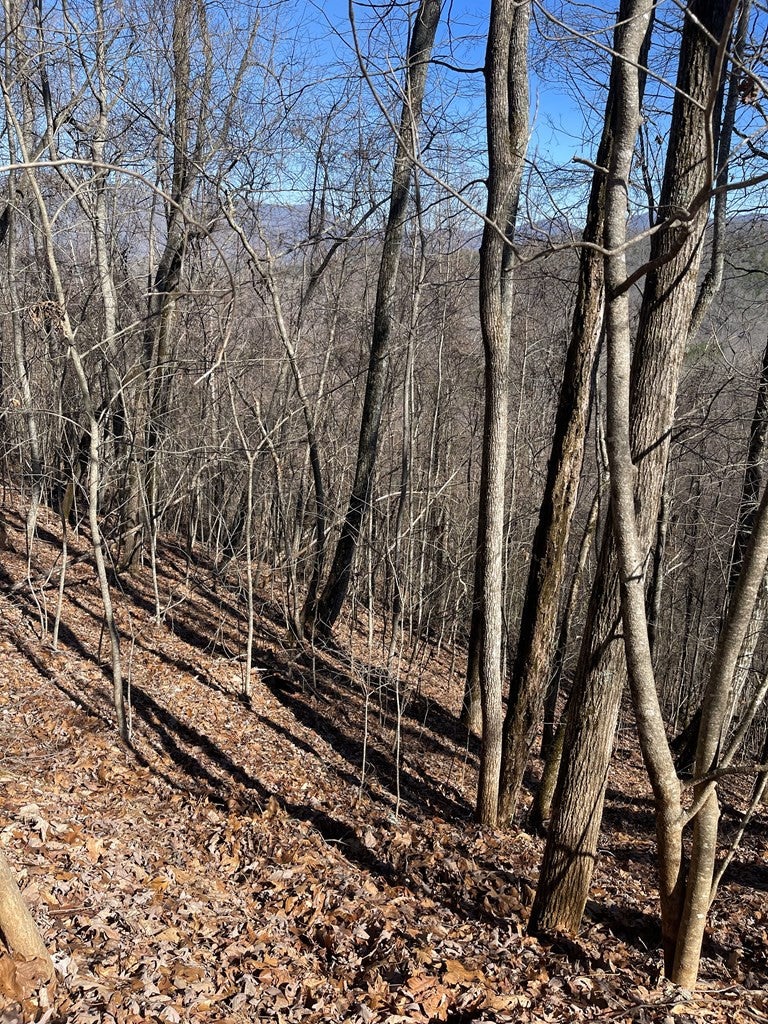 Lot 68j 68J Grandview Drive - Photo 3