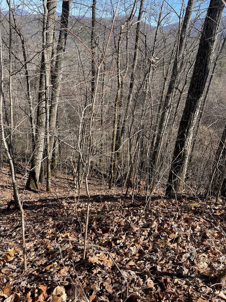 Lot 68j 68J Grandview Drive - Photo 4