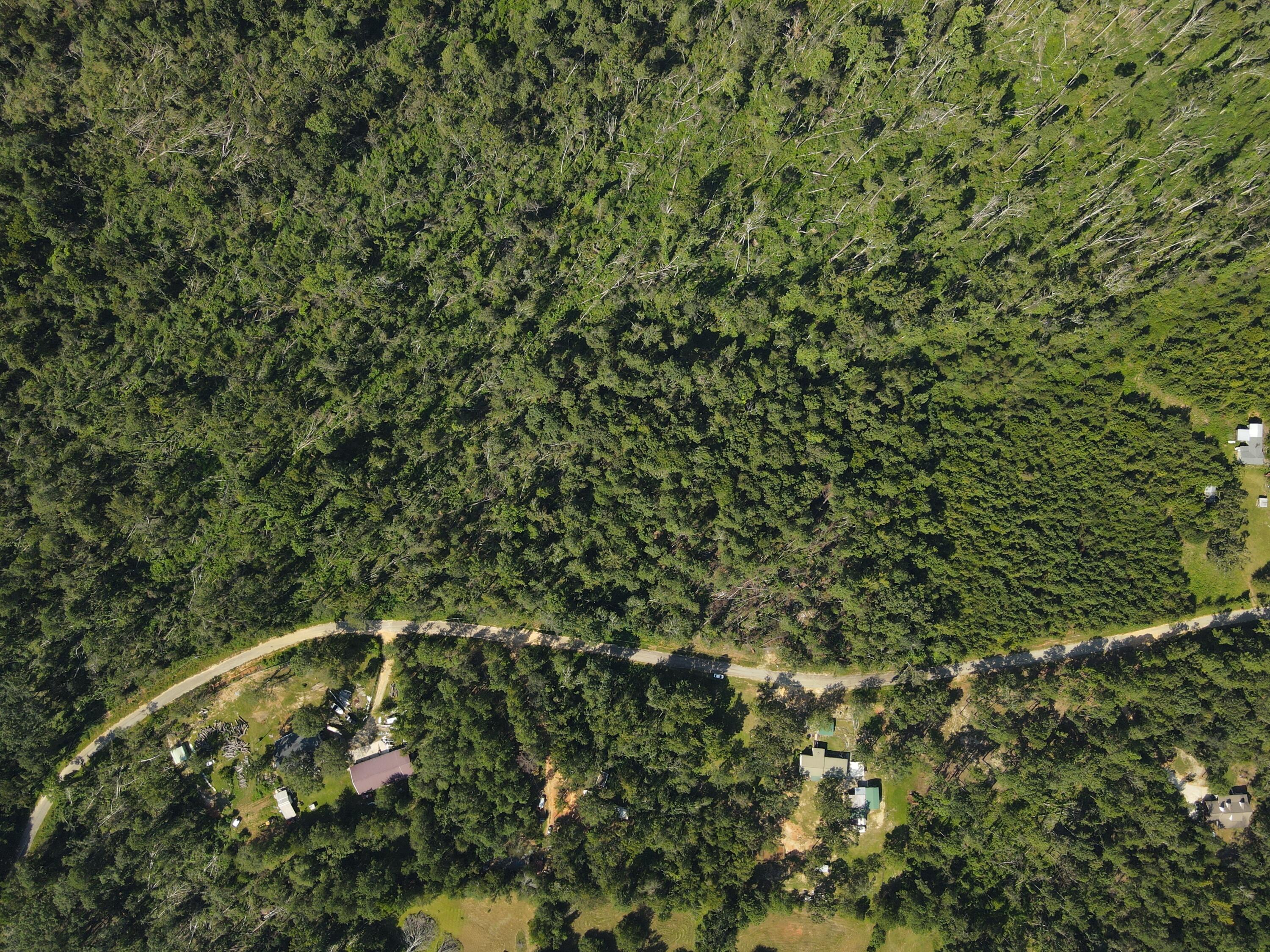 11c & 12c Mini Farms Road