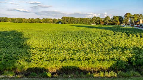 Vacant Land For Sale - TBD Whitehat Road<br/> Hertford, NC 27944