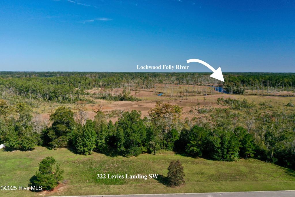 Photo of 322 Levies Landing SW, Supply, NC 28462 (MLS # 100535881)