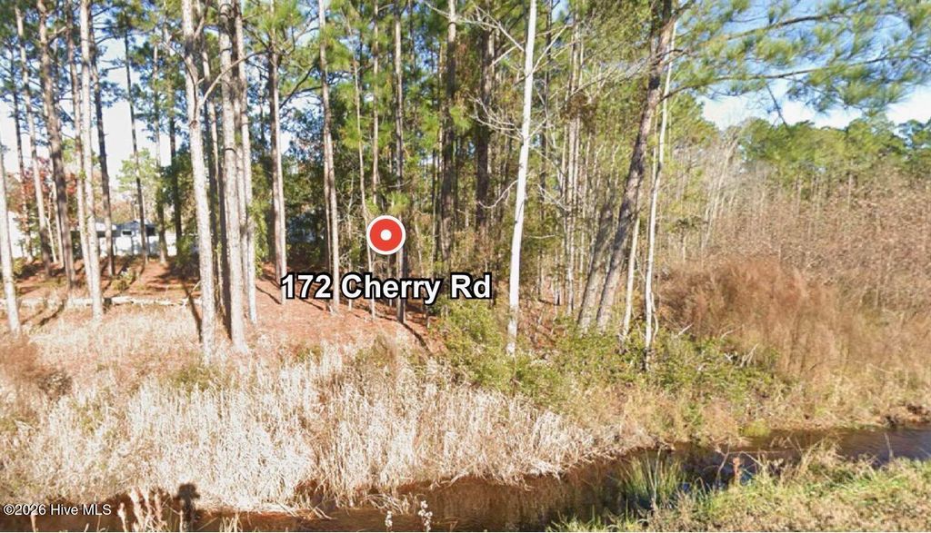 Photo of 172 Cherry Road, Boiling Spring Lakes, NC 28461 (MLS # 100550706)