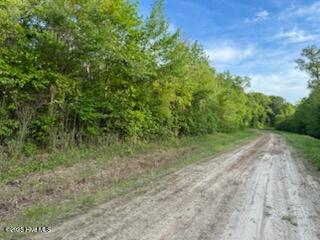 Vacant Land For Sale - LOT C South Road<br/> Camden County, South Mills, NC 27976