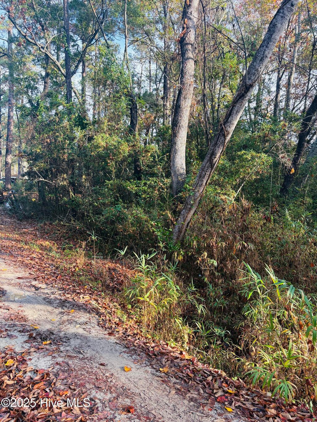 Photo of 1574 Hollywood Street SW, Shallotte, NC 28470 (MLS # 100543112)