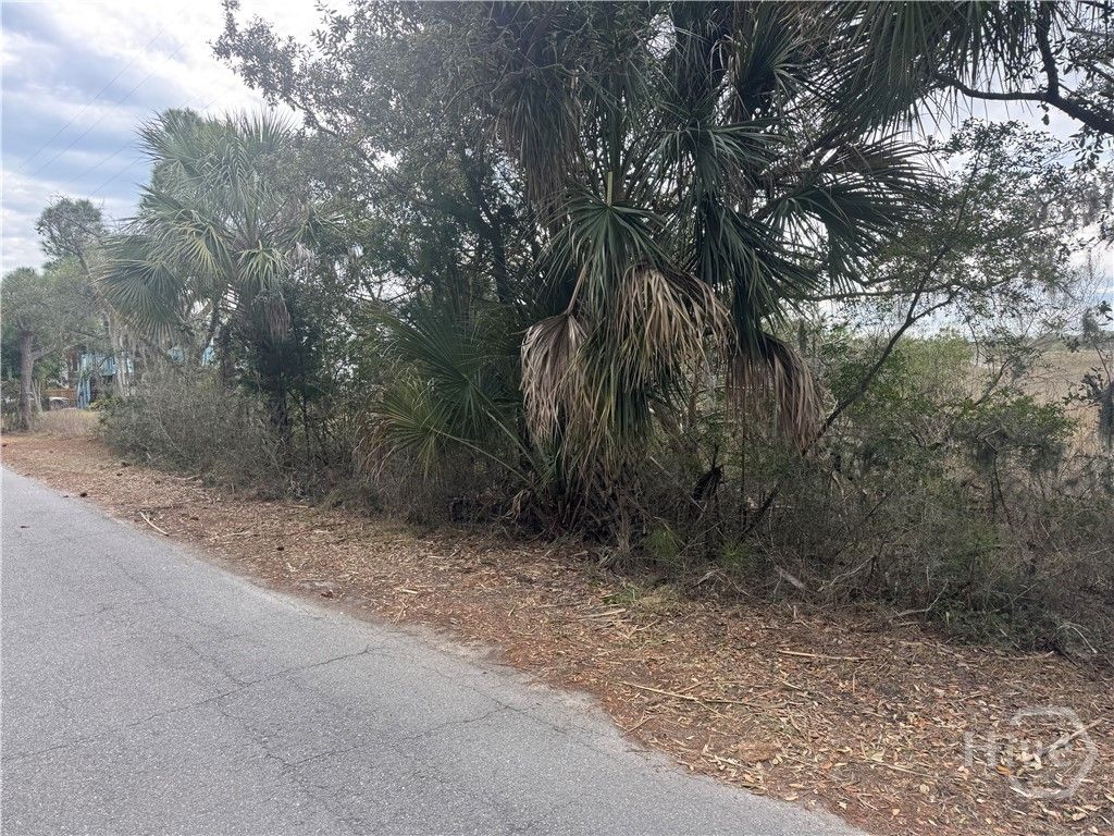 Photo of 139 S Campbell Avenue, Tybee Island, GA 31328 (MLS # SA350037)