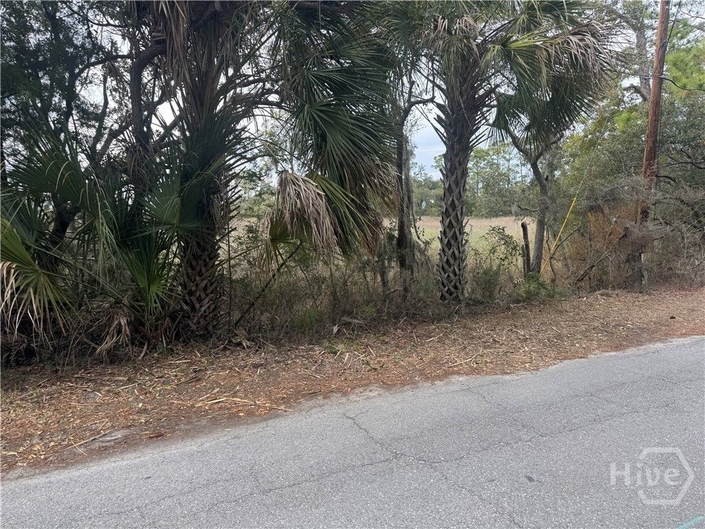 Photo of 139 S Campbell Avenue, Tybee Island, GA 31328 (MLS # SA350037)