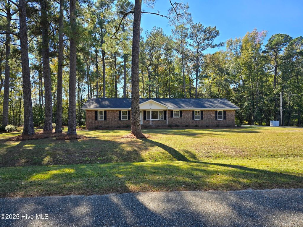 Photo of 75 Pineland Woods Drive, Whiteville, NC 28472 (MLS # 100540176)