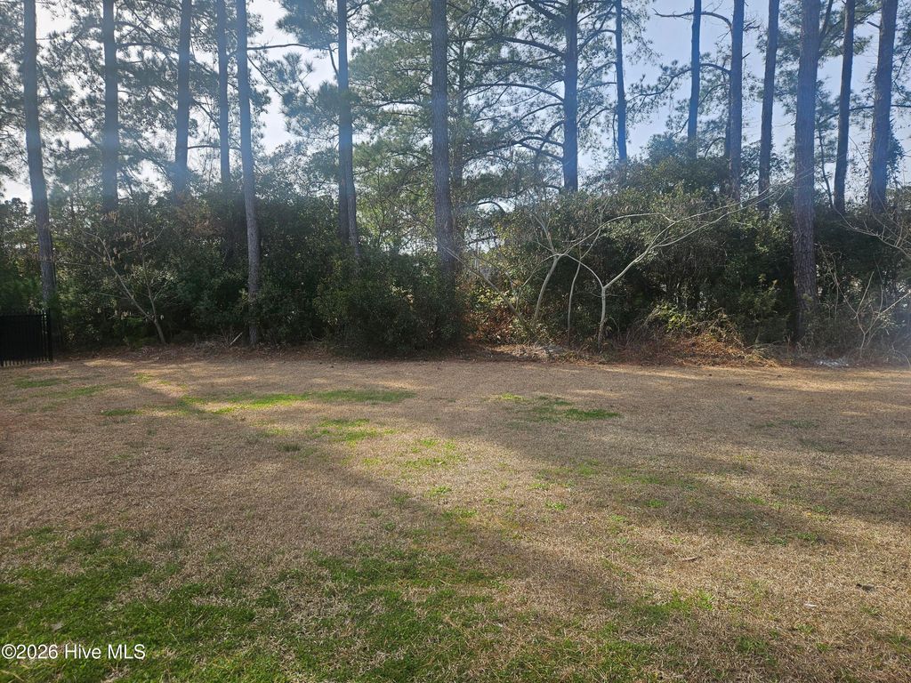 Photo of 205 Wild Raven Street NW, Shallotte, NC 28470 (MLS # 100556834)