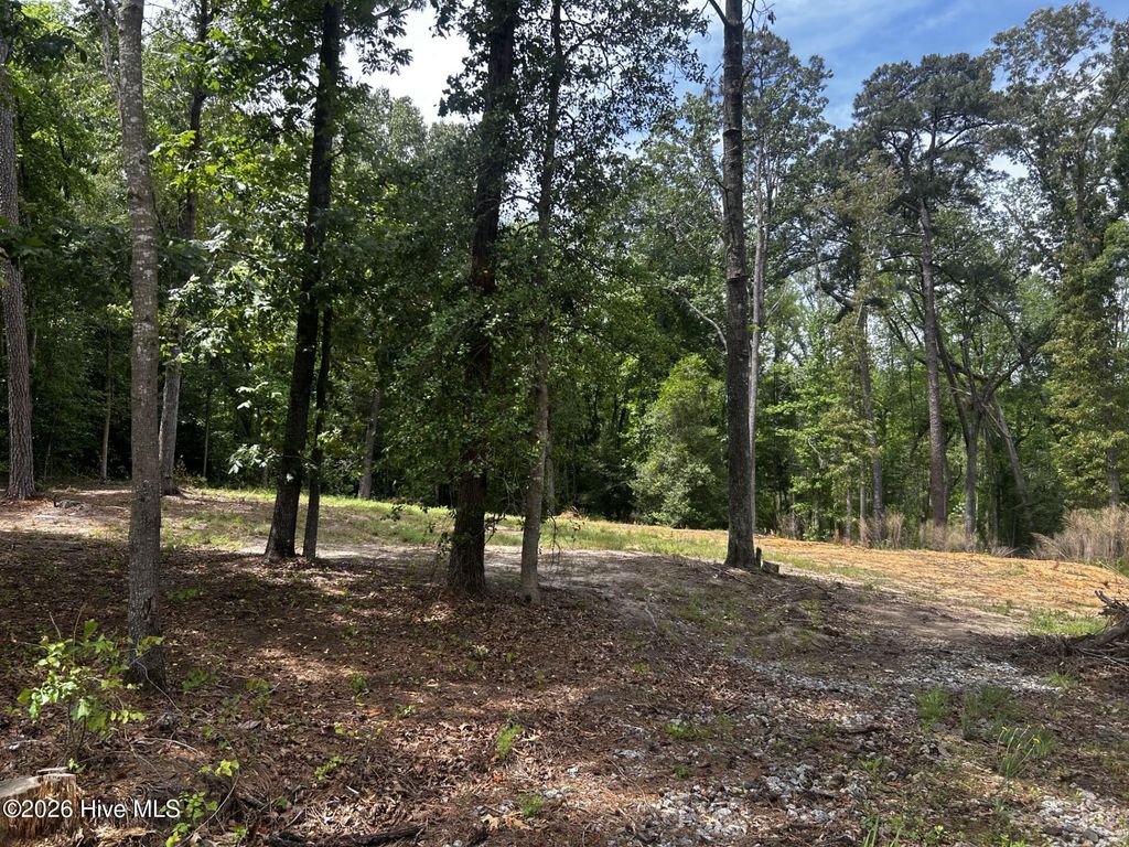 Photo of 11 Heritage Drive, Laurinburg, NC 28352 (MLS # 100574793)