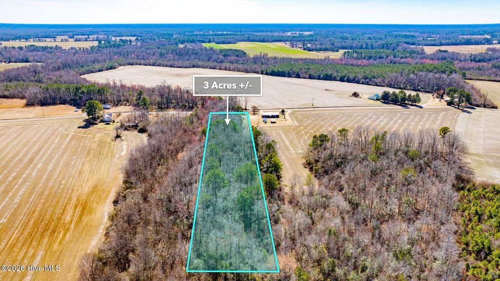 Photo of 358 Parker Road, Murfreesboro, NC 27855 (MLS # 100558899)