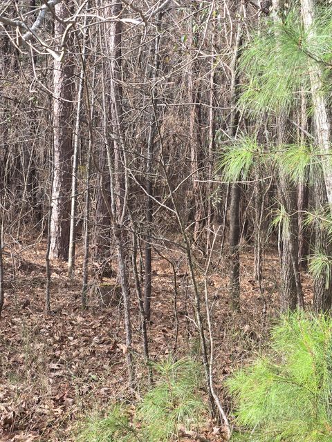 0 Ga-220 Lincolnton GA 30817