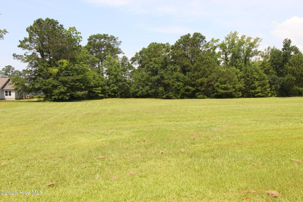 Photo of 215 Long Creek Drive, Havelock, NC 28532 (MLS # 100516103)