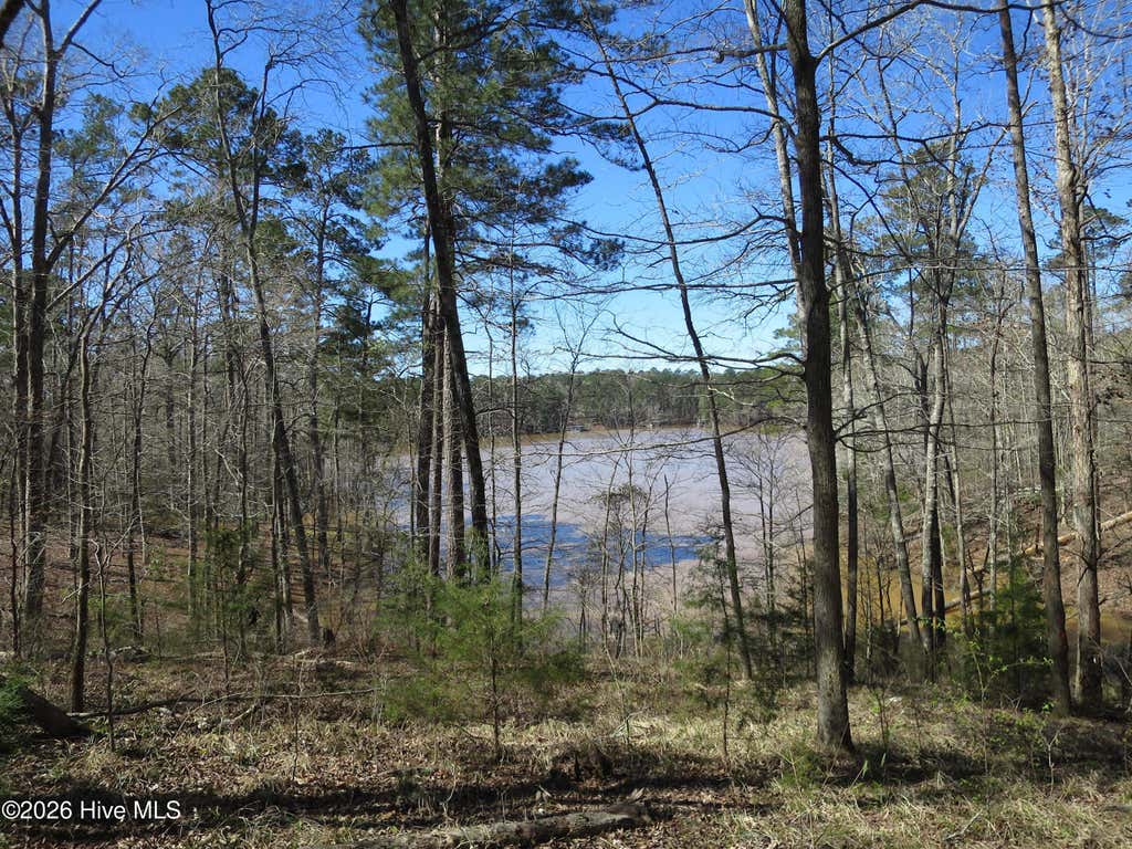 Photo of 205 Rolland Place, McCormick, SC 29835 (MLS # 100595549)