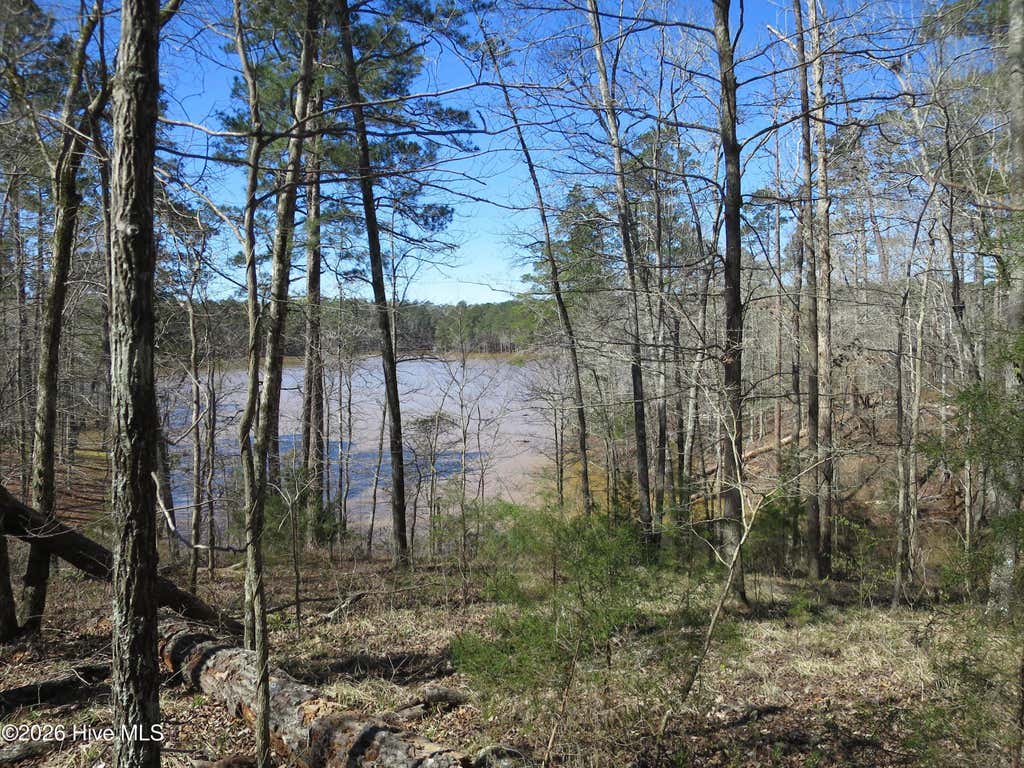 Photo of 205 Rolland Place, McCormick, SC 29835 (MLS # 100595549)