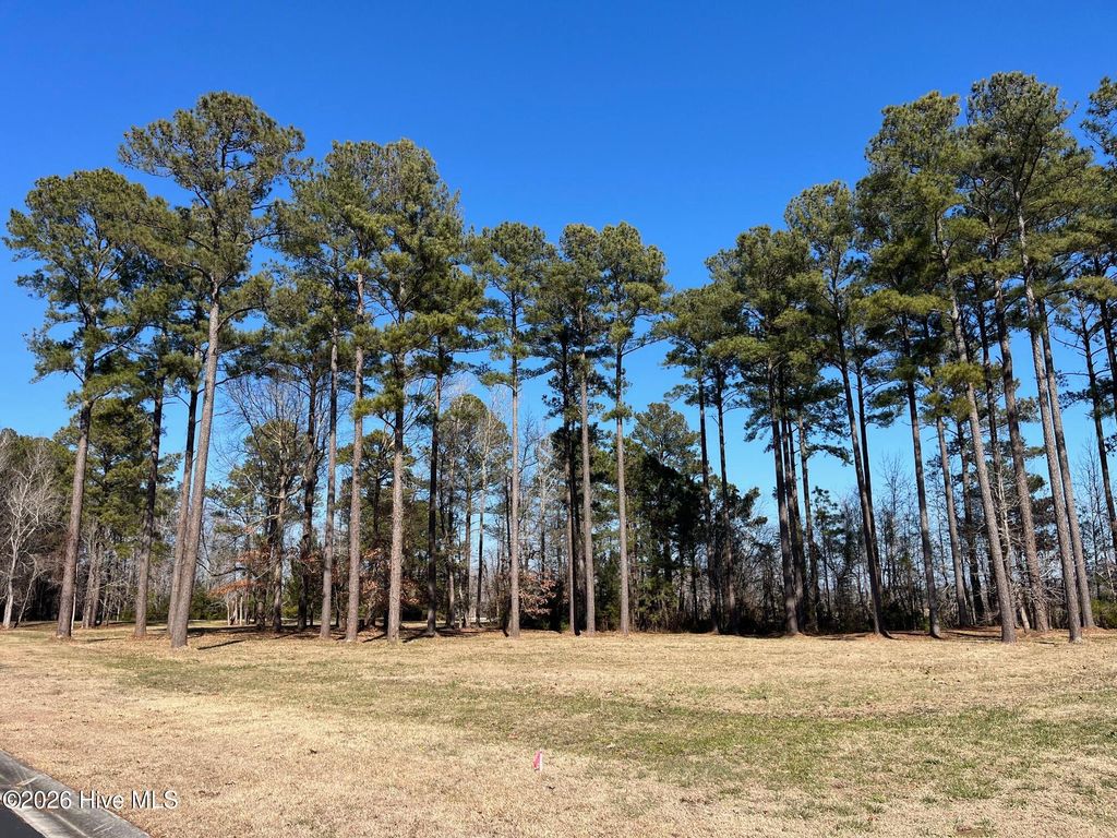 Photo of 40 Currituck Court, Oriental, NC 28571 (MLS # 100555708)