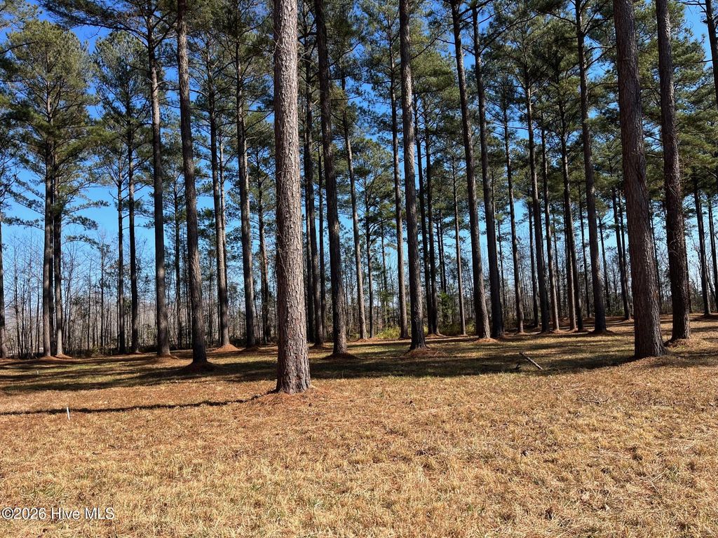 Photo of 40 Currituck Court, Oriental, NC 28571 (MLS # 100555708)