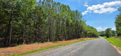 Vacant Land For Sale - 20A Chestnut Ridge Road<br/> Mccormick County, McCormick, SC 29835
