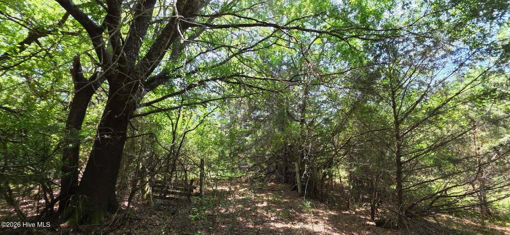 Photo of 20 Chestnut Ridge Road, McCormick, SC 29835 (MLS # 100585499)