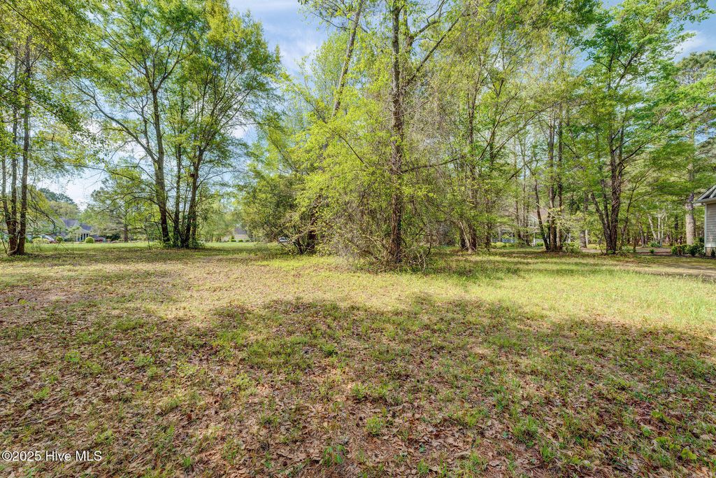 Photo of 161 Maple Creek Drive, Wallace, NC 28466 (MLS # 100500546)