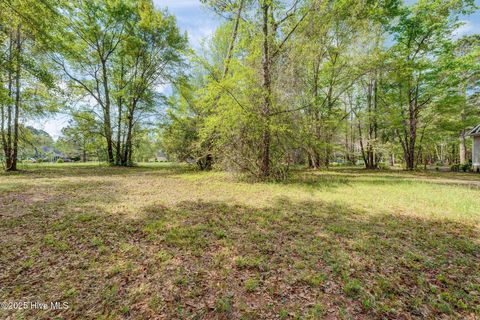 Vacant Land For Sale - 161 Maple Creek Drive<br/> Wallace, NC 28466