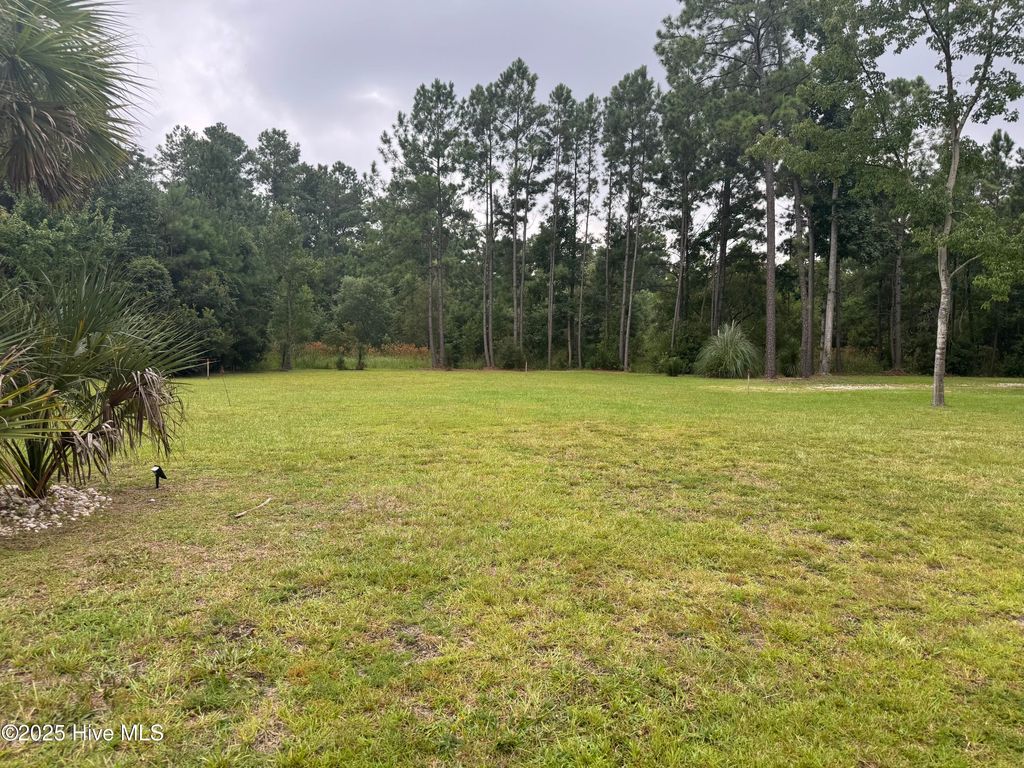 Photo of 2325 Caracara Drive, New Bern, NC 28560 (MLS # 100523827)