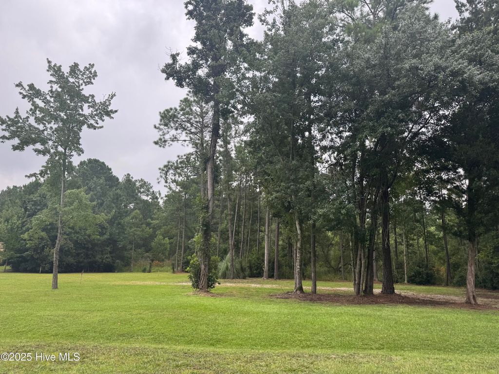 Photo of 2325 Caracara Drive, New Bern, NC 28560 (MLS # 100523827)