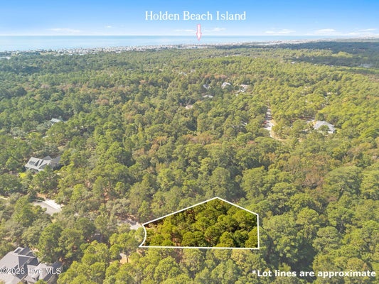 3771 ACADIAN AVE SW, SUPPLY, NC 28462 - Image 48a2d70f812310179f05b558fbf5c8e4/1453392600