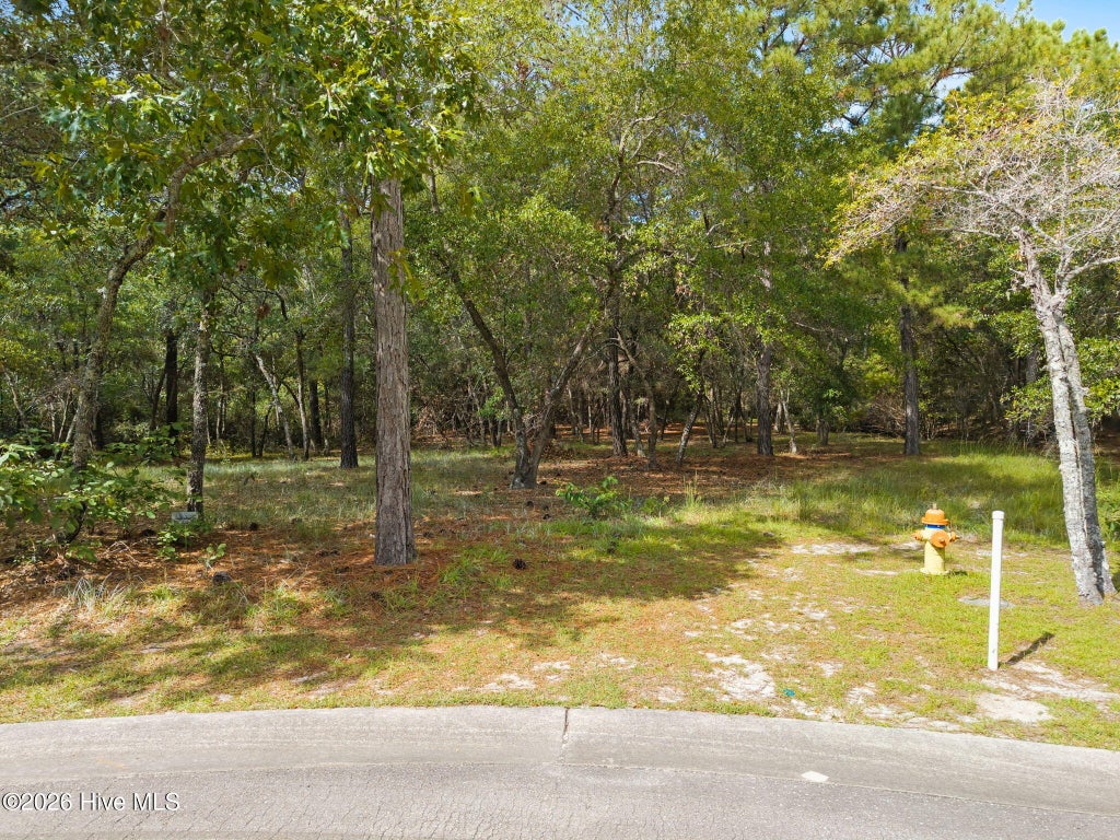 Photo of 3771 Acadian Avenue SW, Supply, NC 28462 (MLS # 100608037)