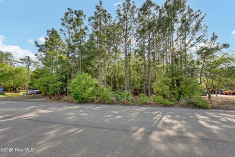Tiny photo for 2248 Yaupon Drive, Wilmington, NC 28401 (MLS # 100567472)