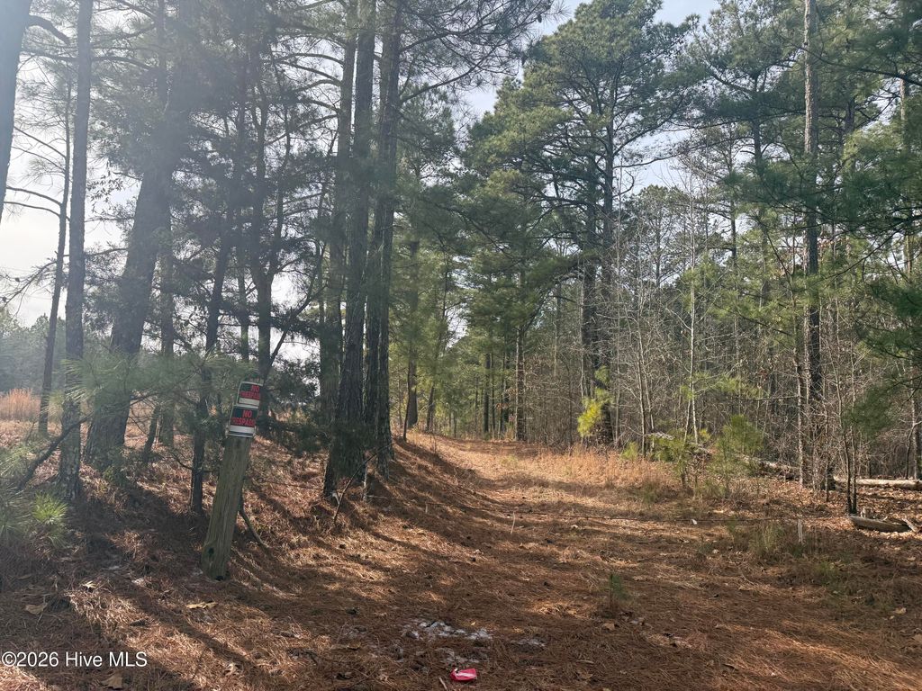 Photo of 474 Stanton Hill Road, Cameron, NC 28326 (MLS # 100553050)