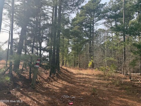 Vacant Land For Sale - 474 Stanton Hill Road<br/> Cameron, NC 28326