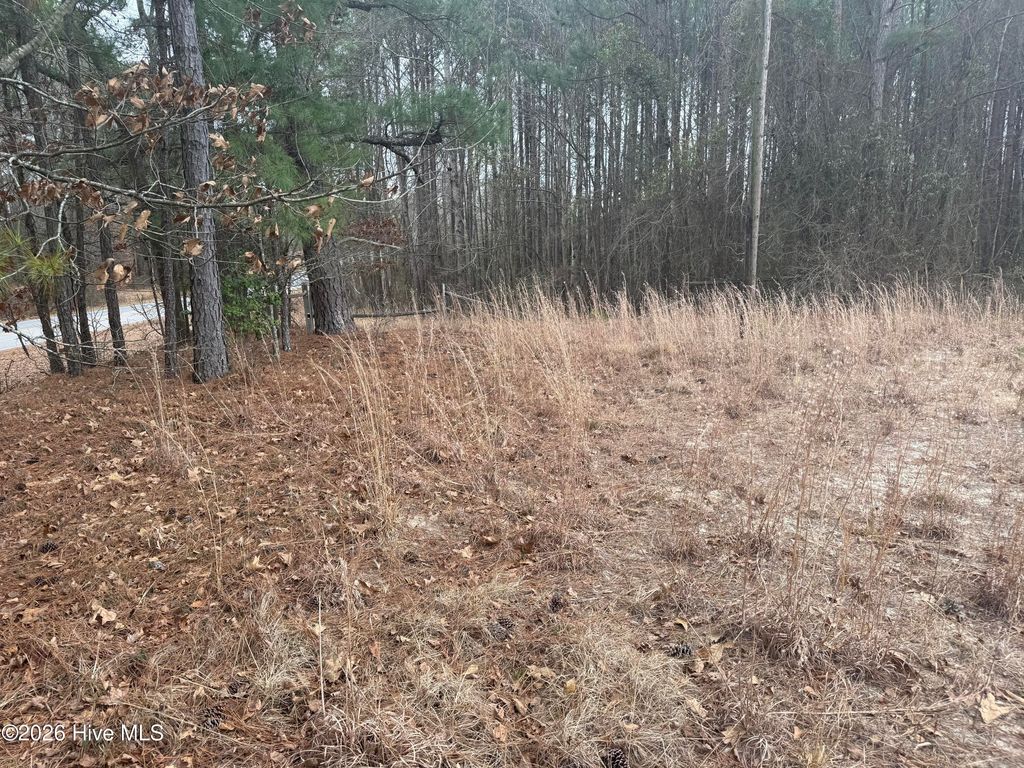 Photo of 474 Stanton Hill Road, Cameron, NC 28326 (MLS # 100553050)