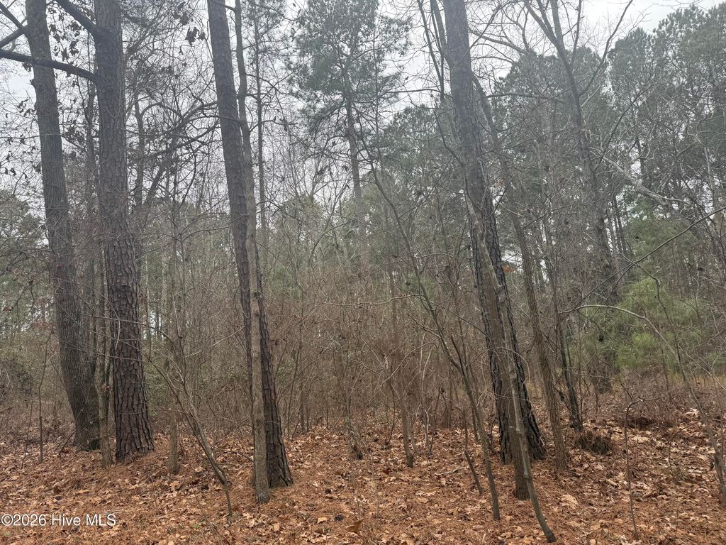 Photo of 474 Stanton Hill Road, Cameron, NC 28326 (MLS # 100553050)